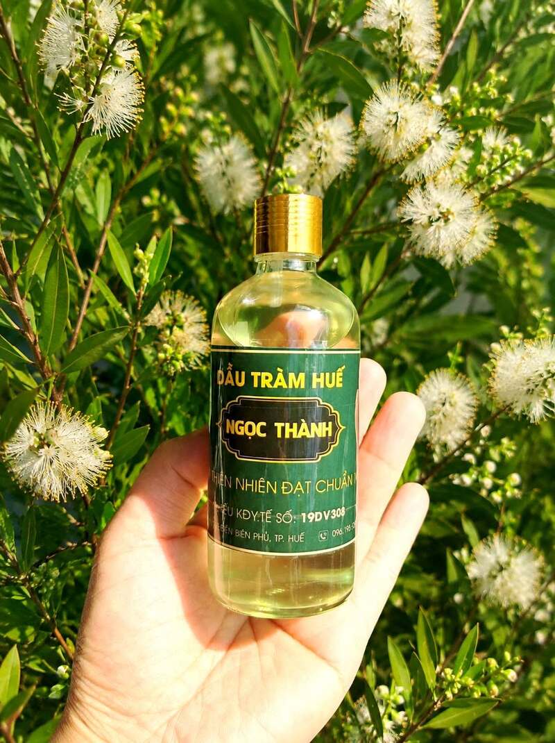 Review tinh dầu tràm Huế, quà tặng đậm nét văn hóa kinh kỳ 8