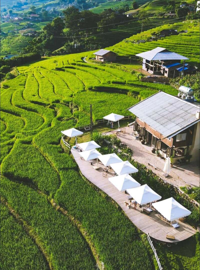 Ghé De Mong Sapa, thả hồn vào không gian ruộng bậc thang Tả Van 3