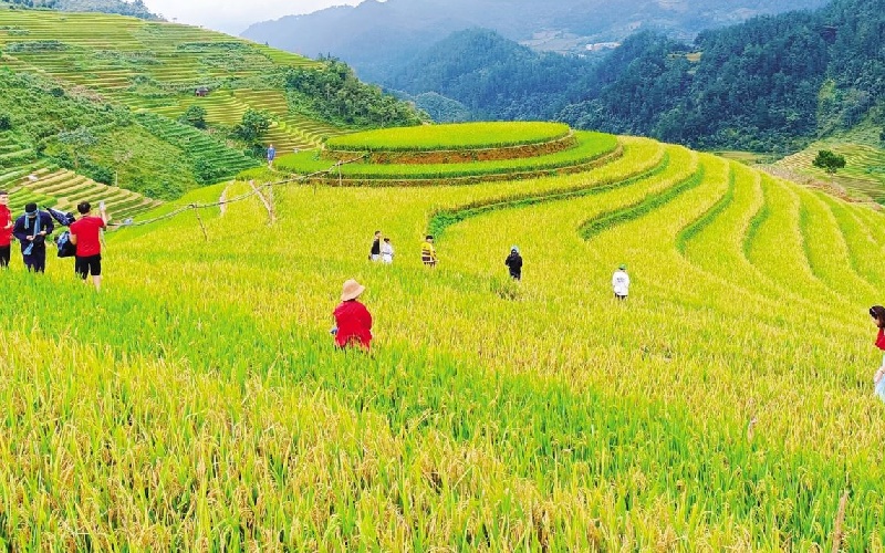Khám phá Dế Xu Phình: Điểm đến bình yên giữa núi rừng Yên Bái 6