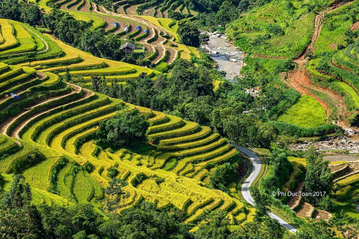 Đến Bản Luốc - Sán Sả Hồ để ngắm thửa ruộng bậc thang rộng nhất Hoàng Su Phì 3