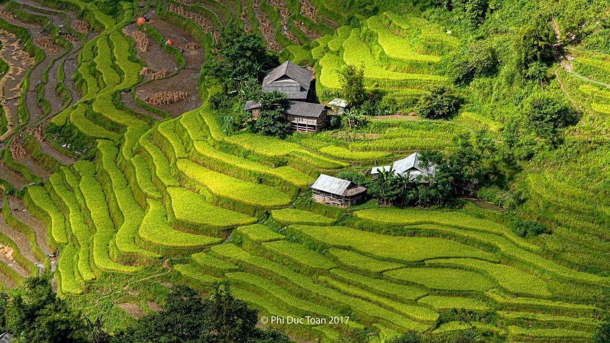 Đến Bản Luốc - Sán Sả Hồ để ngắm thửa ruộng bậc thang rộng nhất Hoàng Su Phì 5