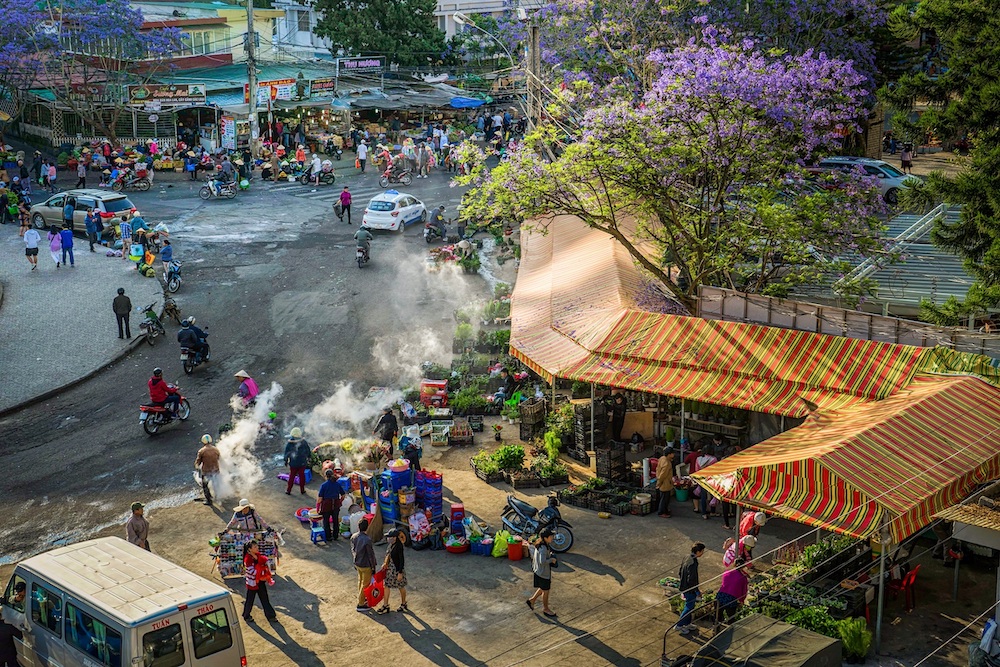 Đến Đà Lạt thì nhớ đến vào mùa hoa phượng tím Đà Lạt nhé bạn ơi 11