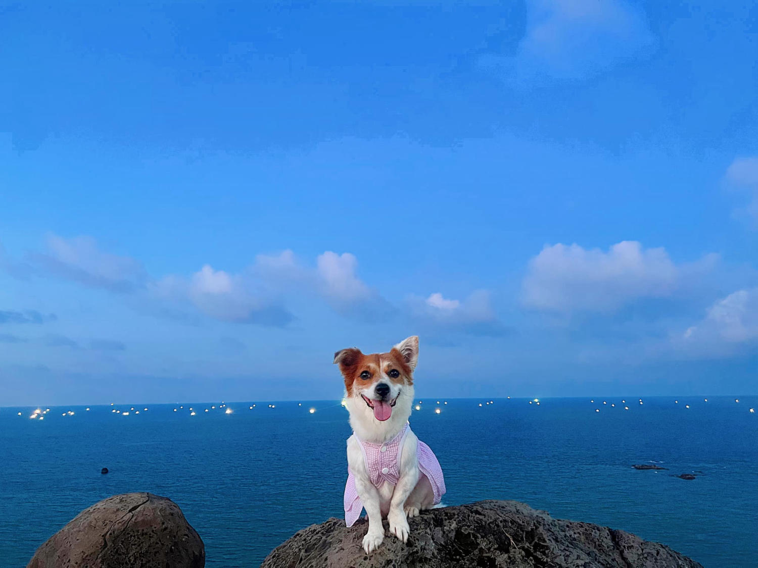 Đến Đảo Phú Quý cùng cún yêu khuấy động mùa hè nhàm chán 10