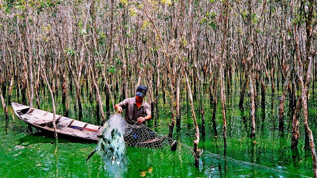 Đến huyện Trần Văn Thời Cà Mau trải nghiệm đánh bắt cá tôm thú vị