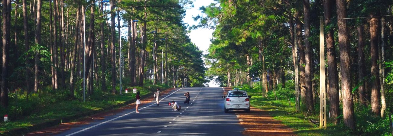 Đến rừng thông Măng Đen trải nghiệm 'Đà Lạt thứ hai' nơi Tây Nguyên đại ngàn