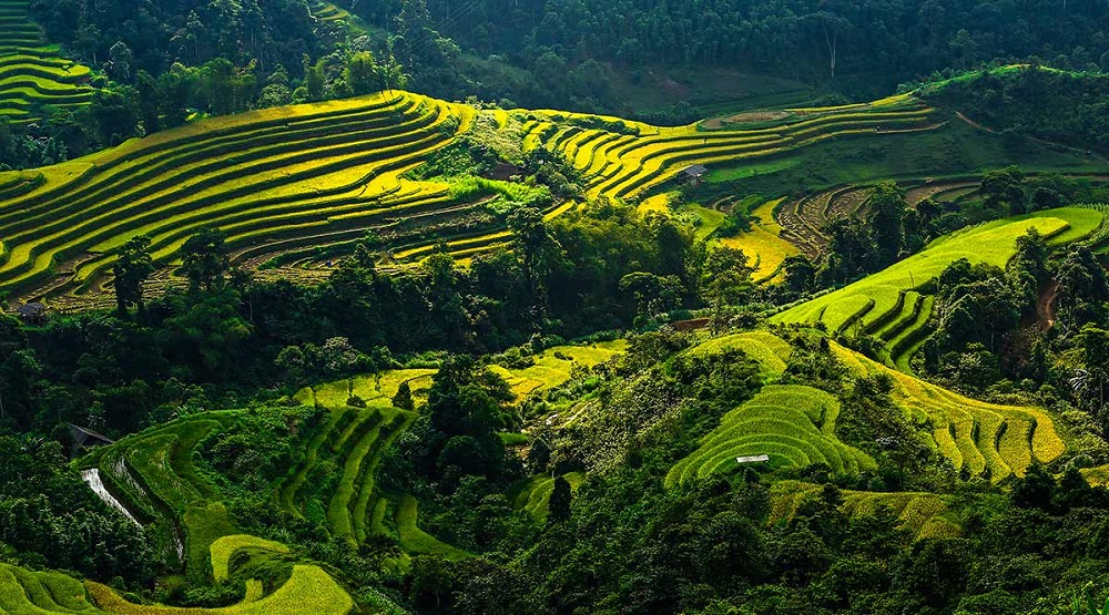 Đền thờ Gia Long - Hà Giang - Nơi linh thiêng của người La Chí 2