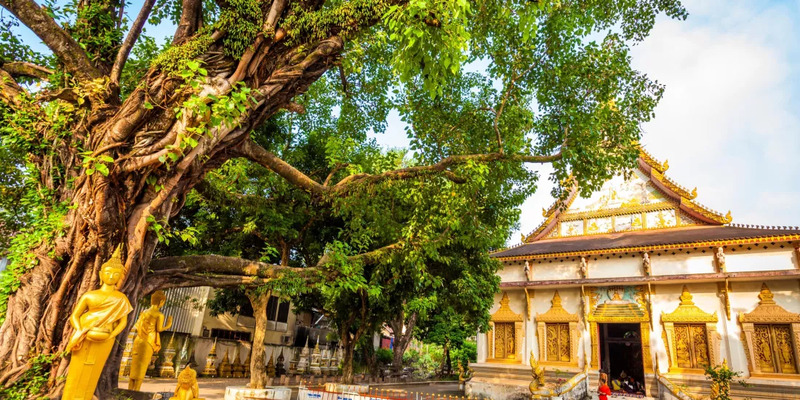 Ghé thăm Wat Si Saket, ngôi đền nhiều tượng cổ nhất của Lào 5