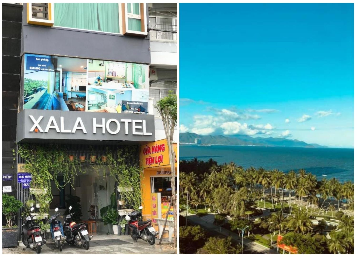 Đến Xala Boutique Hotel Nha Trang hòa mình vào không gian xanh 2