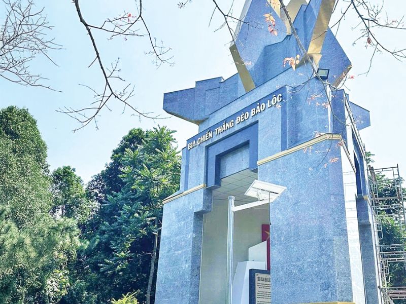 Băng qua đèo Bảo Lộc: Cảm giác tự do giữa thiên nhiên hùng vĩ 8