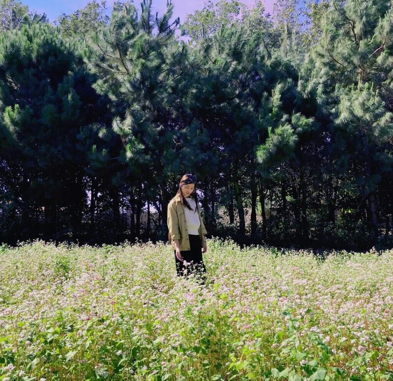 Chinh phục cung đường đèo Prenn ngoạn cảnh Đà Lạt mộng mơ 16