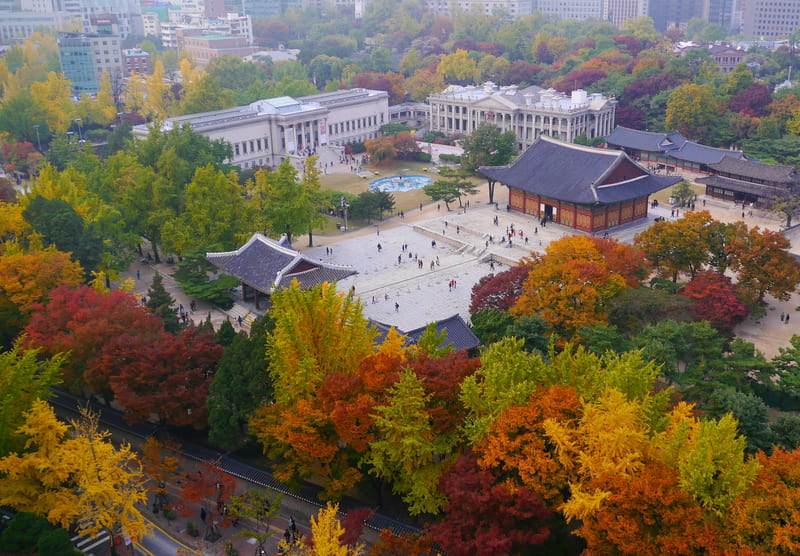Tìm về Cung điện Deoksugung hoàng kim của văn hóa Hàn Quốc 5