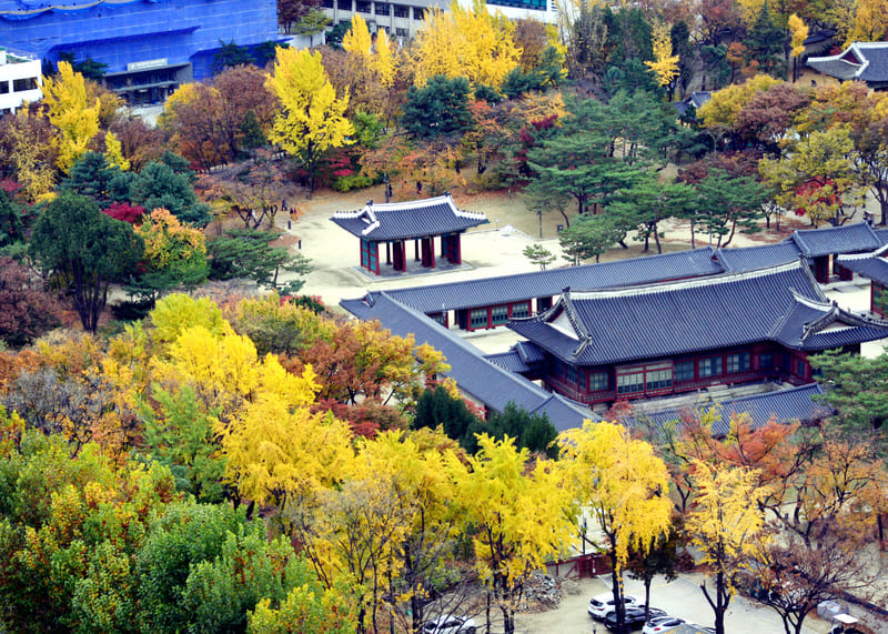 Tìm về Cung điện Deoksugung hoàng kim của văn hóa Hàn Quốc 9