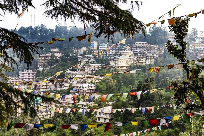 Dharamshala, vùng đất thiêng trên dãy Dauladhar 2