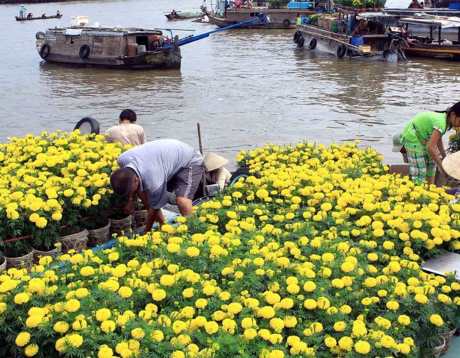 Đi Cà Mau mùa nào đẹp, cùng tìm hiểu ngay với MIA.vn 4