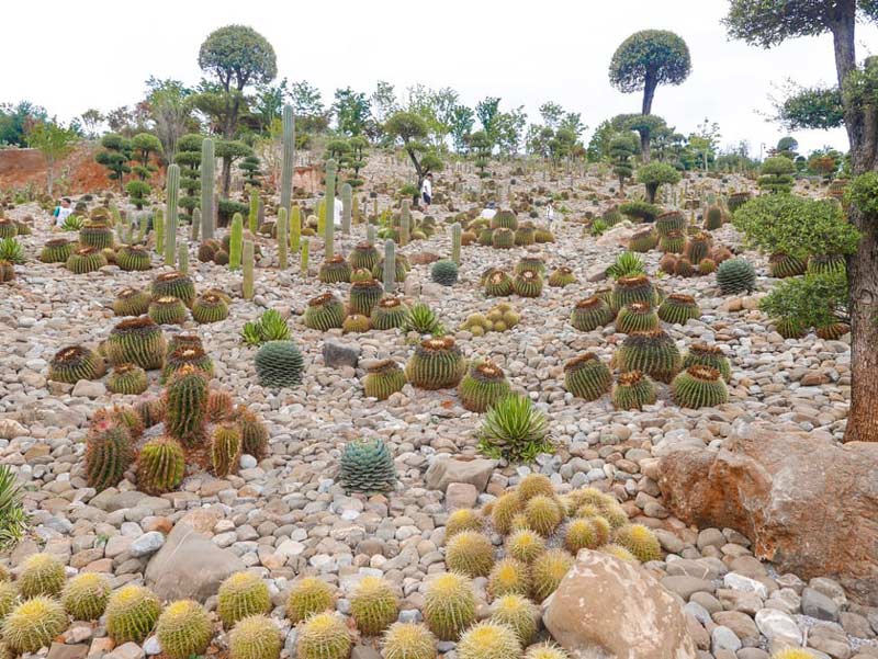 Khám phá Di Lặc Trung Quốc, thành phố bình yên của tỉnh Vân Nam 10