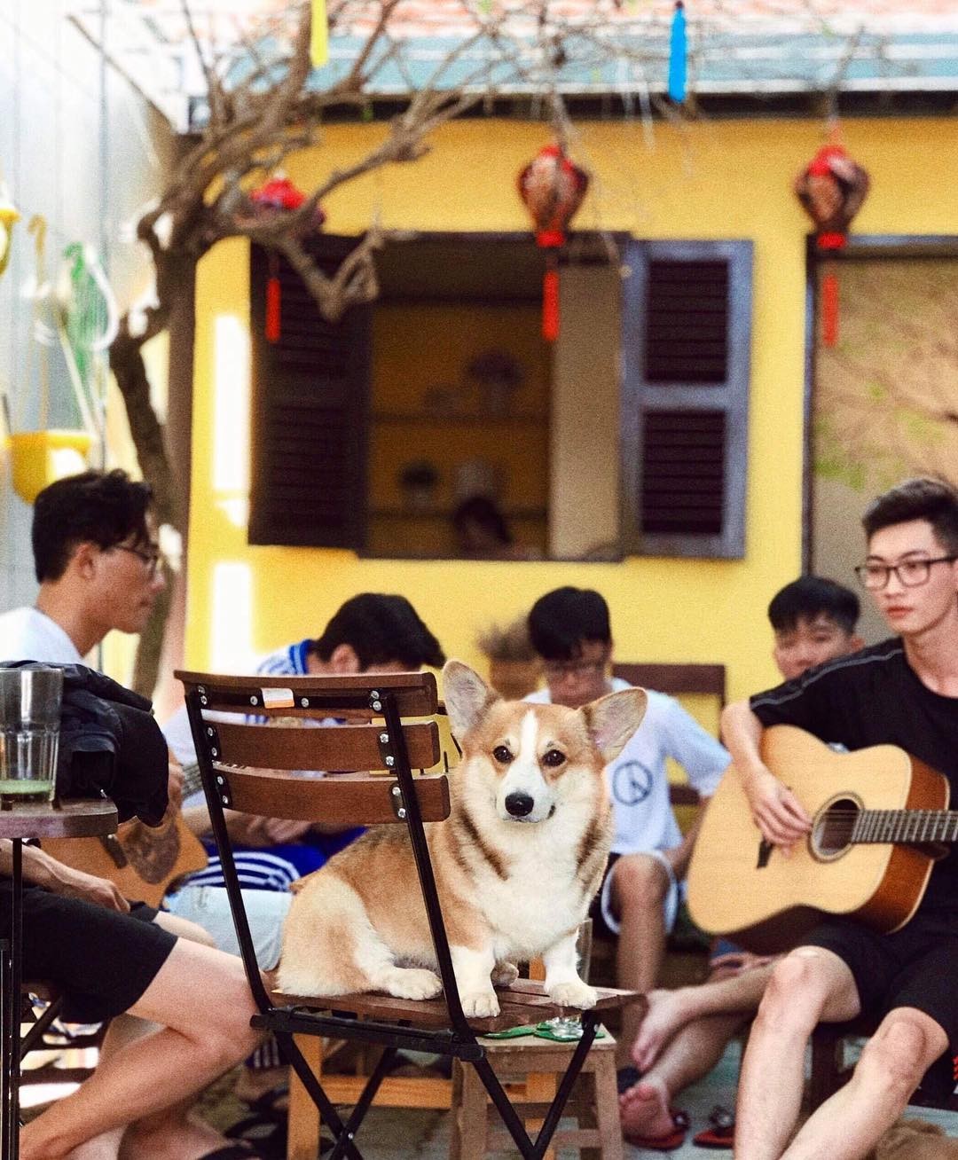 Đi tìm những Quán cafe vintage ở An Giang 4