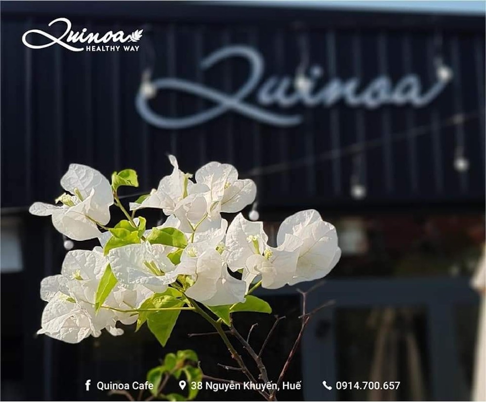 Dịch không vi vu nước ngoài được thì ghé Quinoa Café để có ảnh check-in như ở trời Tây 2