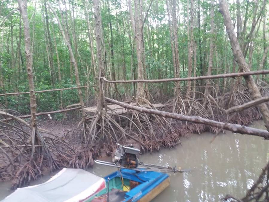 Điểm du lịch cộng đồng Nguyễn Hùng, khám phá thiên nhiên Đất Mũi 5