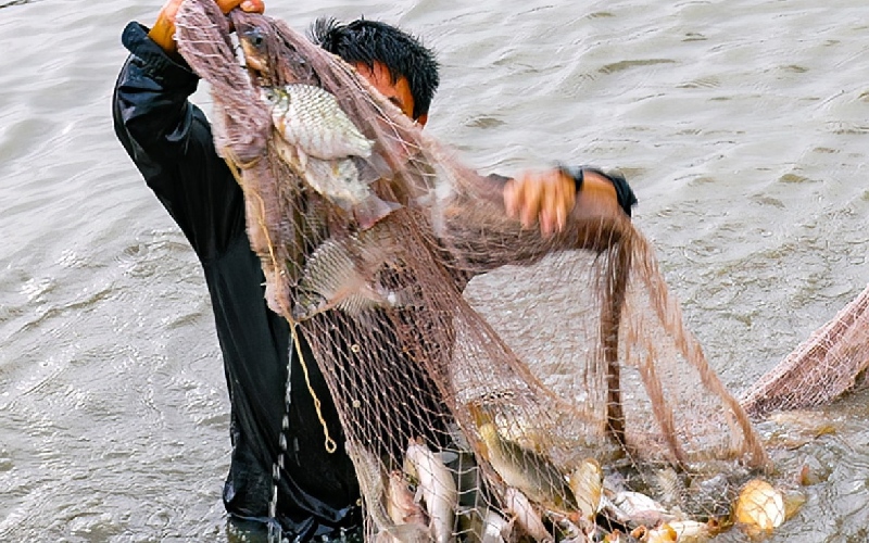Khám phá Định Quán hoang sơ tại miền Đông Đồng Nai 8