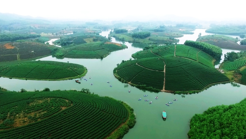 Hành trình săn 9 đồi chè đẹp nhất Việt Nam 6