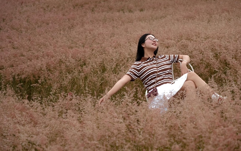 Đồi cỏ hồng Măng Lin: Nét đẹp hoang sơ níu chân du khách 11