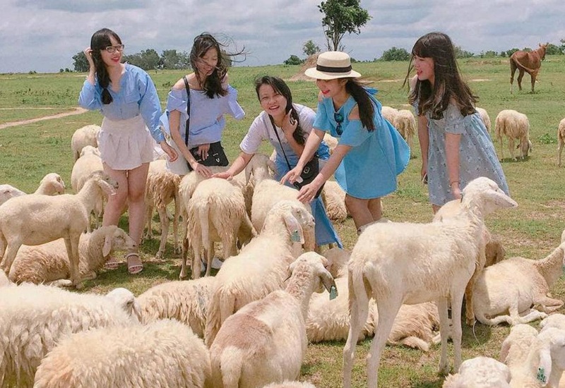 Lưu ngay 13 điểm du lịch Tết gần Sài Gòn thú vị, độc đáo 3