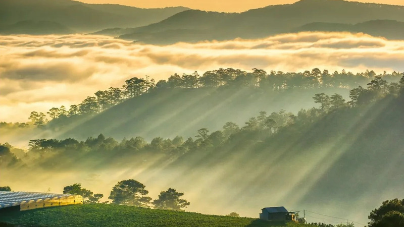 Đến đồi Du Sinh chạm tay vào biển mây giữa lòng Đà Lạt 2