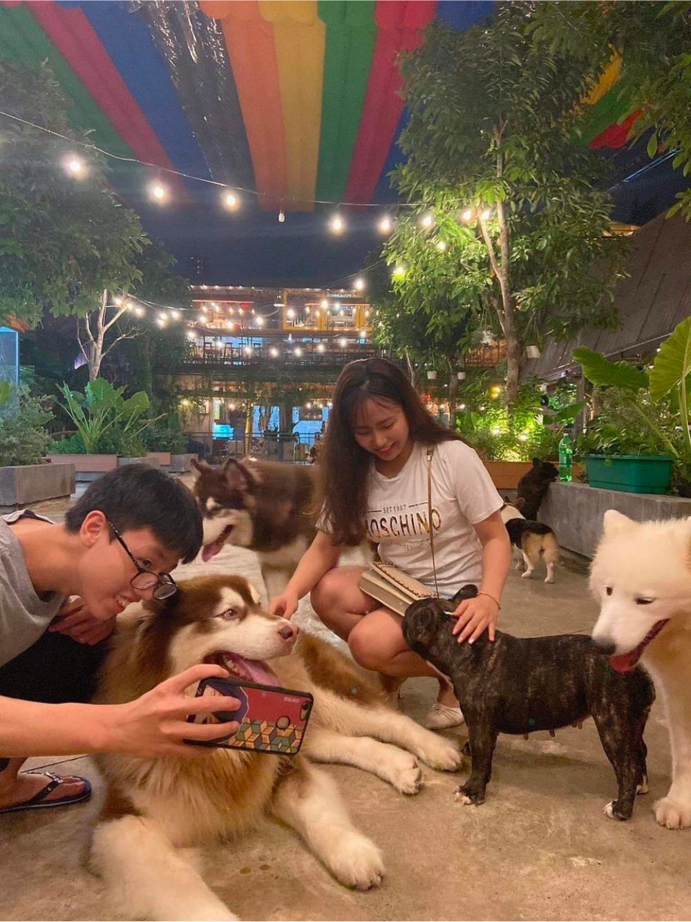 Đổi gió với Royal Land Pet Store, không gian cà phê thú cưng cực chất 6