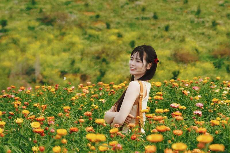 Check-in đồi hoa bất tử siêu hot ở Mộc Châu 4