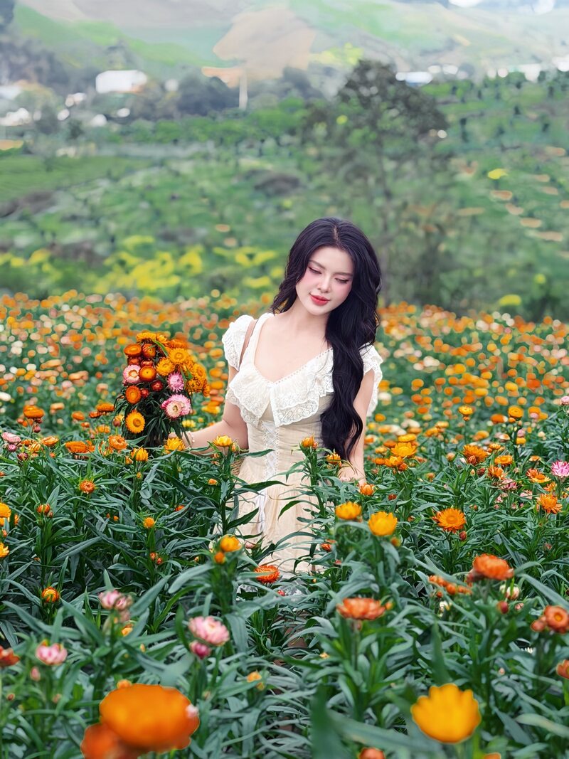 Check-in đồi hoa bất tử siêu hot ở Mộc Châu 6