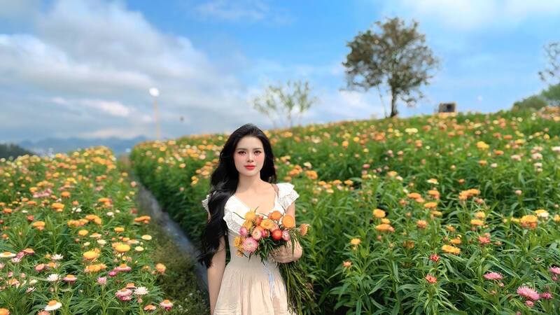 Check-in đồi hoa bất tử siêu hot ở Mộc Châu 7