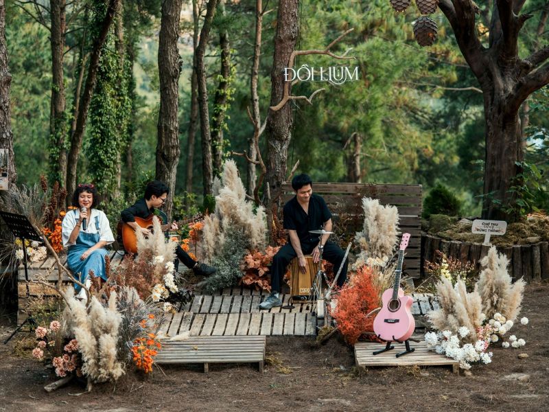 Đồi Llum - Khu nghỉ dưỡng giữa rừng thông rộng cực chill tại Hà Nội 6
