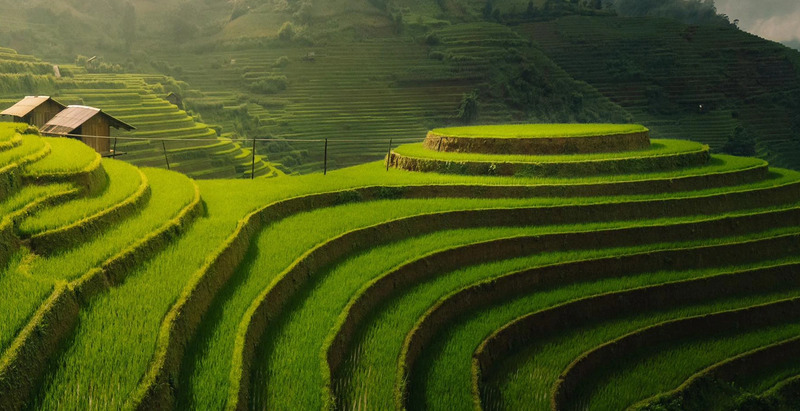 Kinh nghiệm đi Mù Cang Chải mùa lúa chín để không bỏ lỡ khoảnh khắc vàng 2