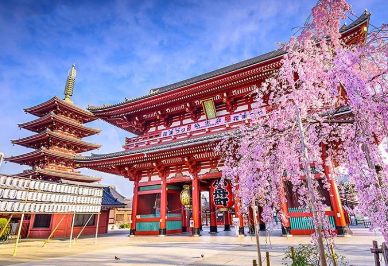 Khám phá chùa Sensoji: ngôi chùa cổ kính bậc nhất Tokyo 2