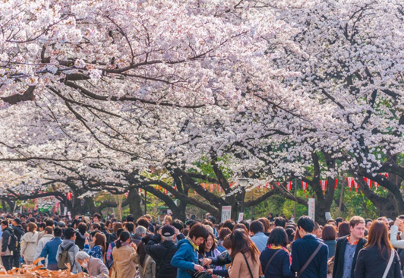 Khám phá công viên Ueno: công viên lâu đời nhất tại Tokyo 3
