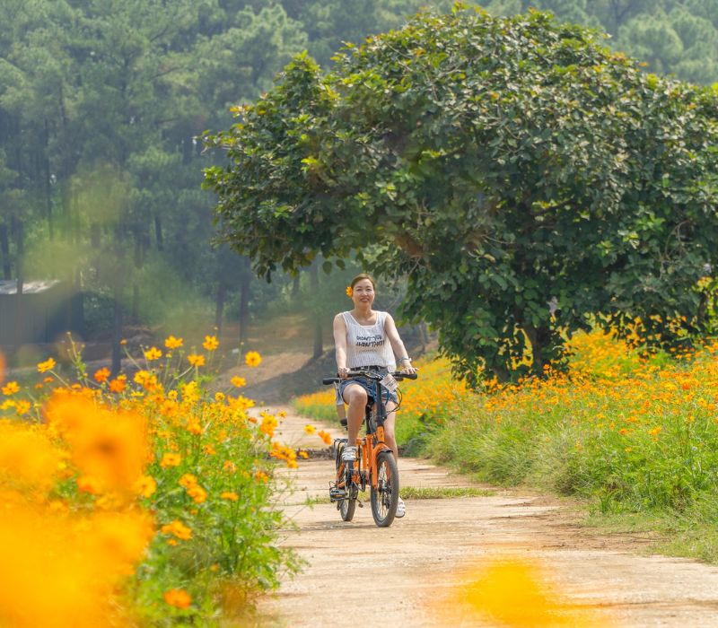 Đồi thông hồ Đồng Chương, thiên đường vui chơi không thể bỏ lỡ 3