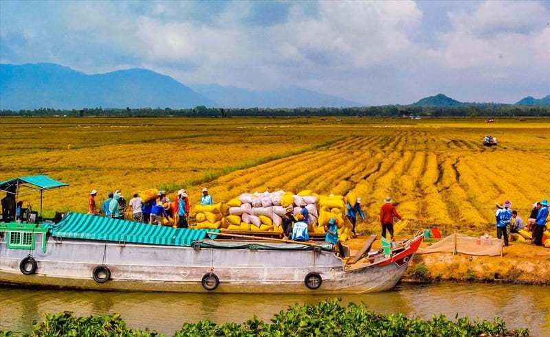 Khám phá Đồng bằng sông Cửu Long từ văn hóa đến du lịch 2