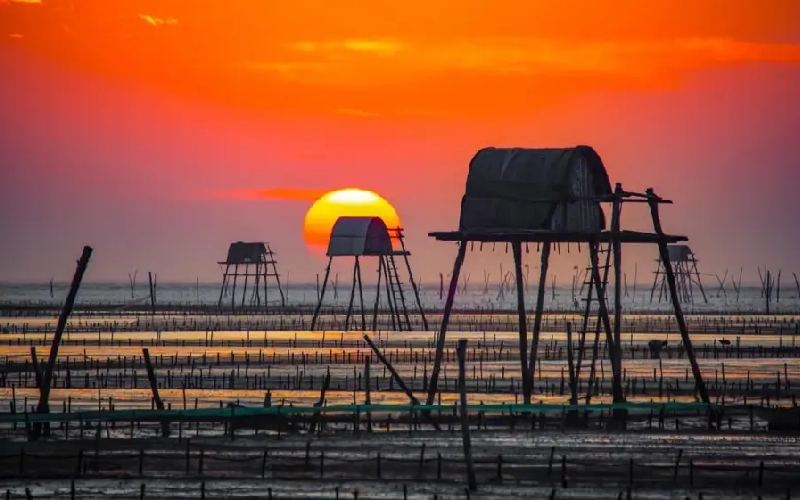 Biển Đồng Châu: Nơi bình yên cho người “chạy trốn” phố thị 3