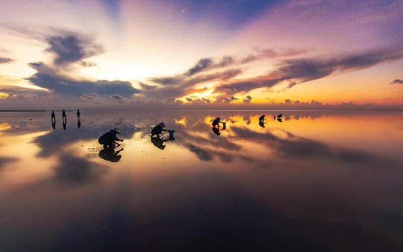 Biển Đồng Châu: Nơi bình yên cho người “chạy trốn” phố thị 5