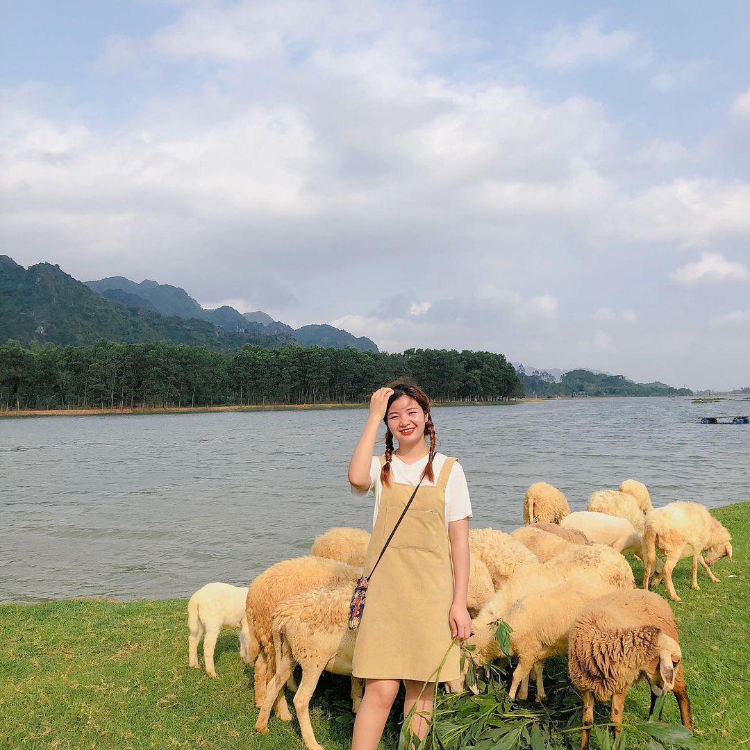 Đồng cừu Gia Hưng Ninh Bình - Bức tranh cổ tích tuyệt đẹp 10