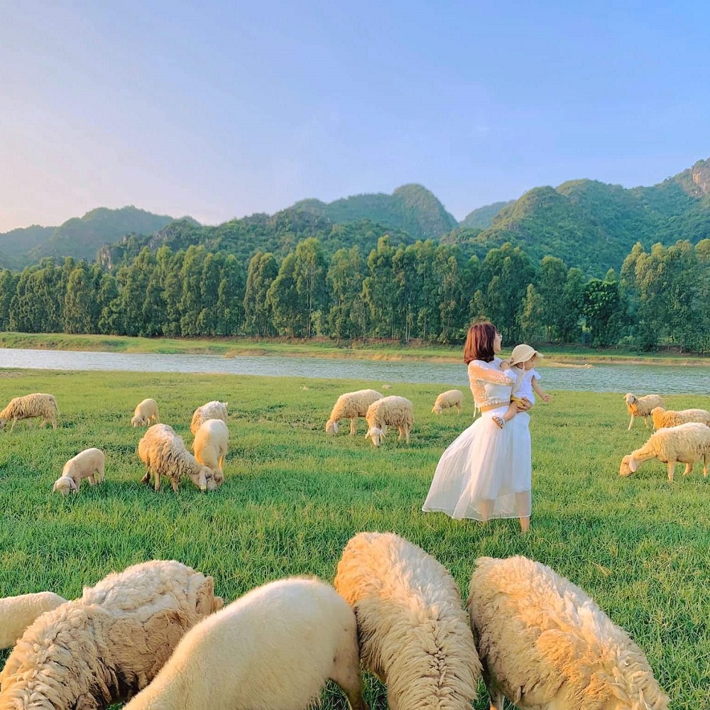 Đồng Cừu Suối Tiên - Thiên đường sống ảo dành cho giới trẻ 4