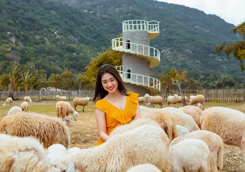 Đồng Cừu Suối Tiên - Thiên đường sống ảo dành cho giới trẻ 5