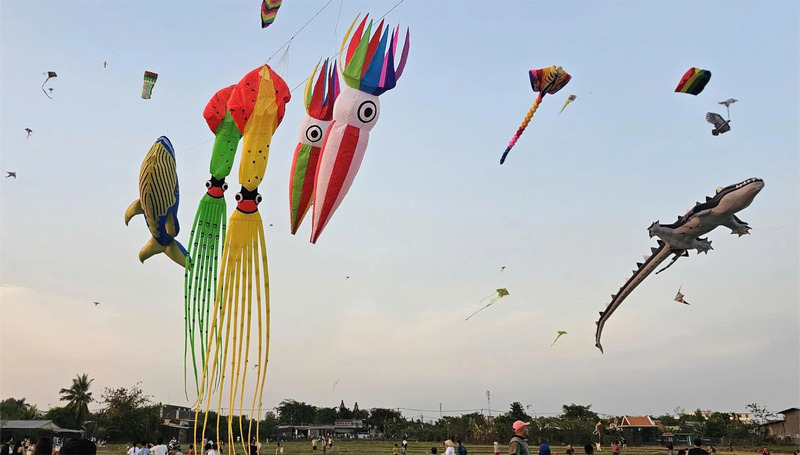 Có một đồng diều Bà Canh lộng gió nơi ngoại ô Sài Gòn 3