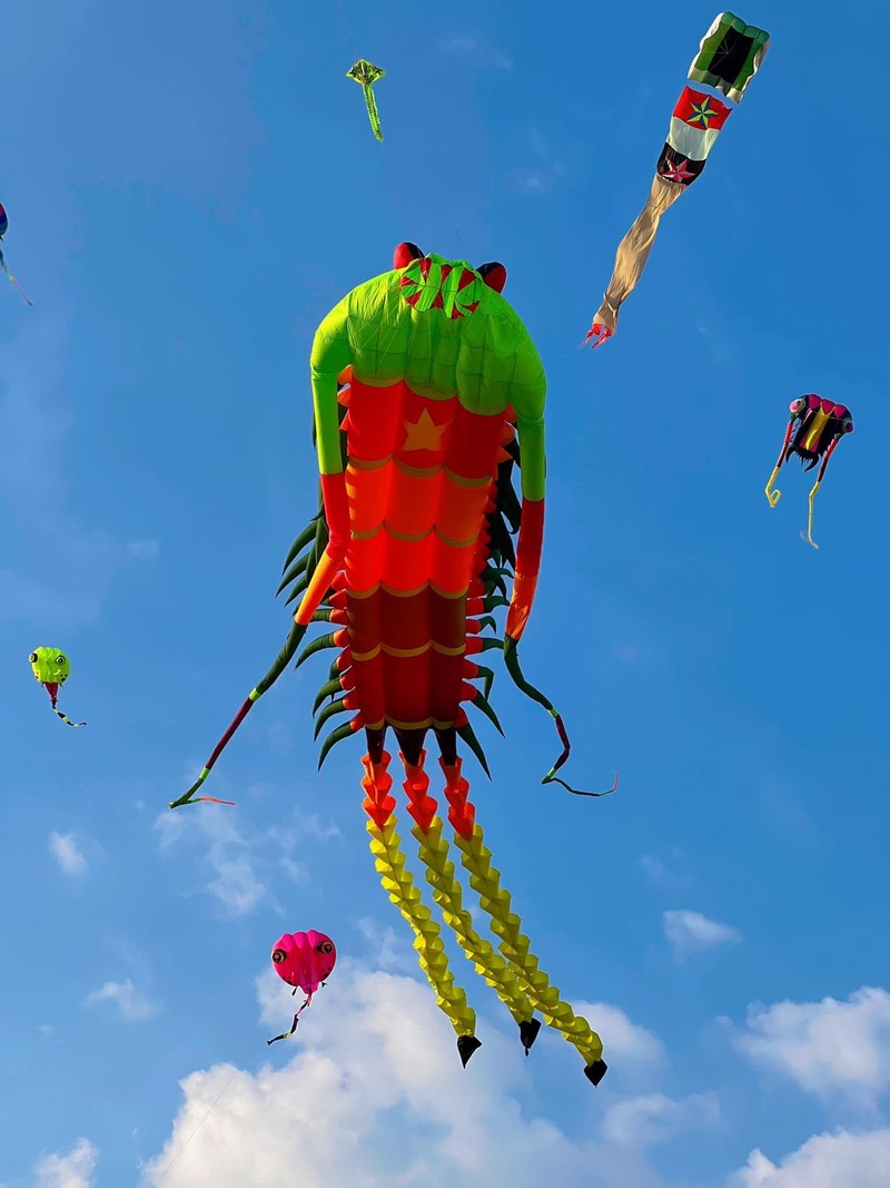 Có một đồng diều Bà Canh lộng gió nơi ngoại ô Sài Gòn 5