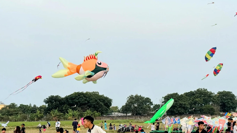 Có một đồng diều Bà Canh lộng gió nơi ngoại ô Sài Gòn 7