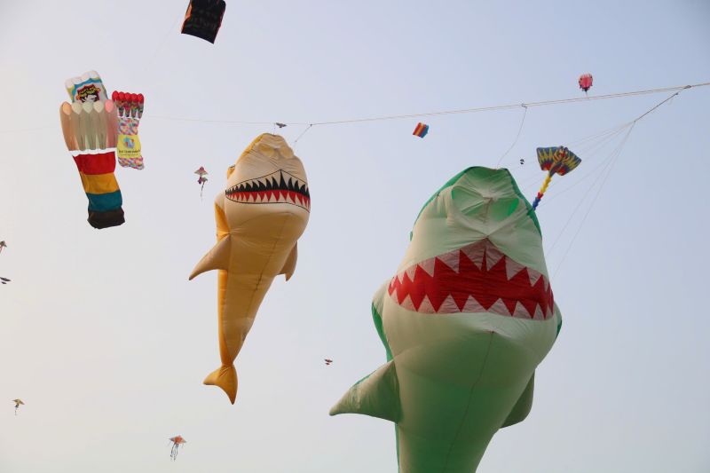 Có một đồng diều Bà Canh lộng gió nơi ngoại ô Sài Gòn 9