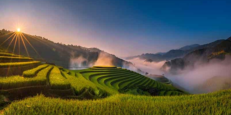 Top 8 đồng lúa đẹp nhất trải dài khắp Việt Nam 2