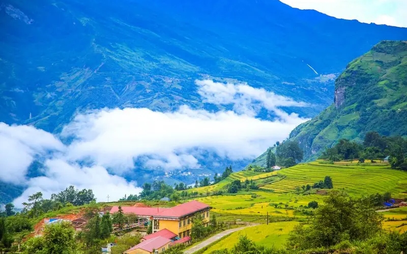 Top 8 đồng lúa đẹp nhất trải dài khắp Việt Nam 4