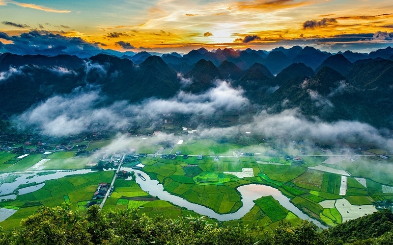 Top 8 đồng lúa đẹp nhất trải dài khắp Việt Nam 5