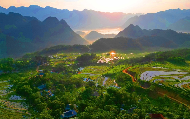 Top 8 đồng lúa đẹp nhất trải dài khắp Việt Nam 6